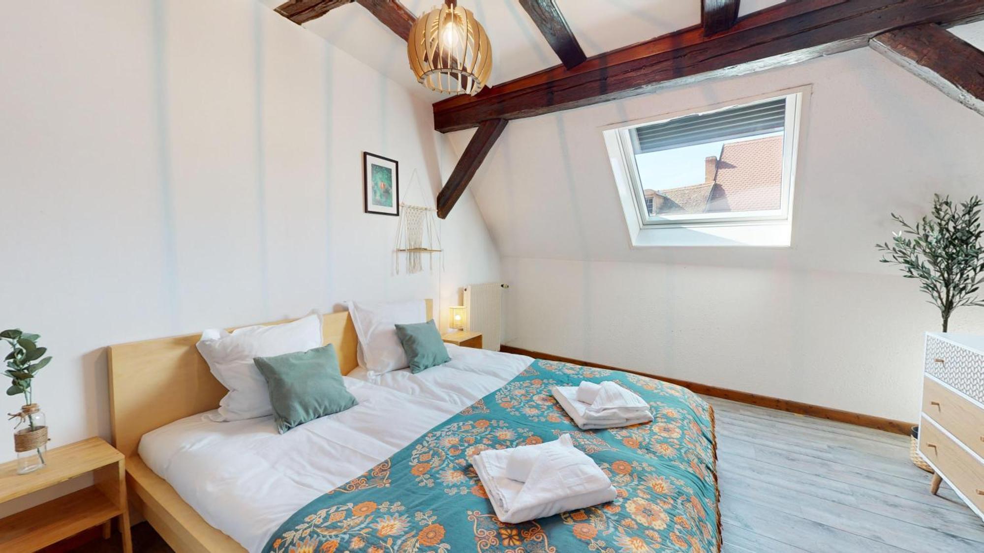 Le Petit Chez Vous Daire Colmar Dış mekan fotoğraf