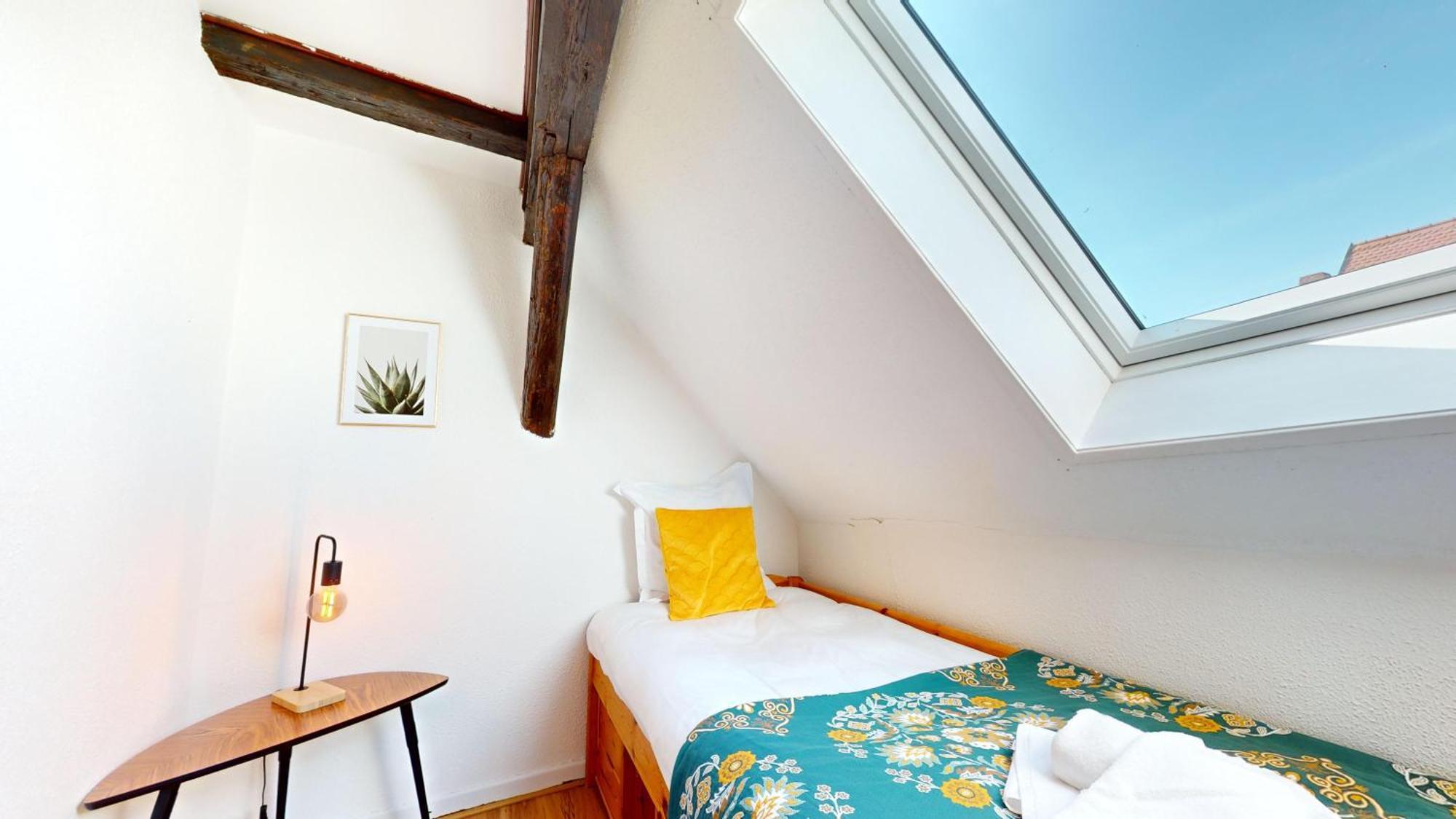 Le Petit Chez Vous Daire Colmar Dış mekan fotoğraf